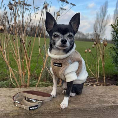 Step In Soft Touch Suede Faux Fur Lined Puppy and Small Dog Harness Caramel