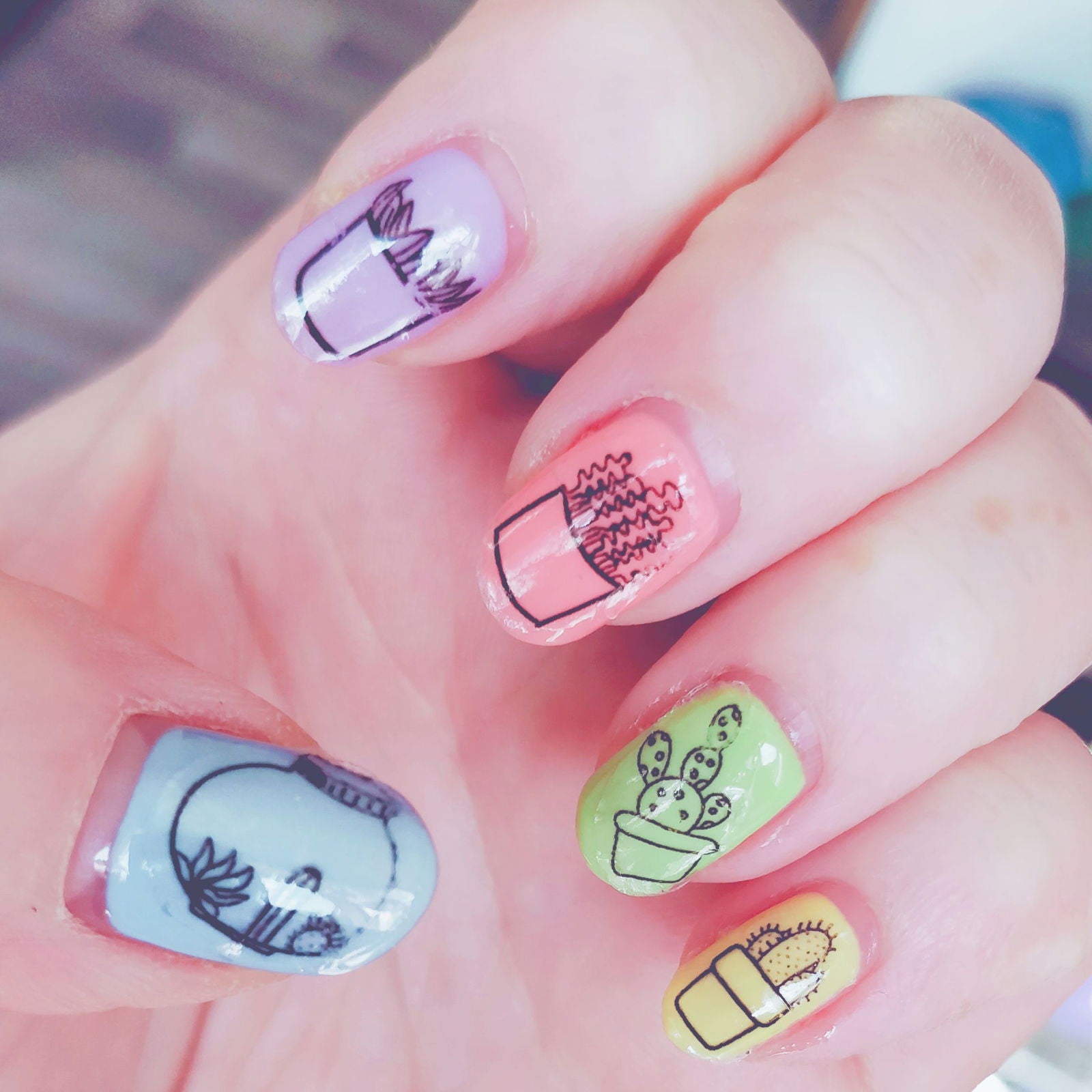 Cacti and Succulents Waterslide Nail Decals