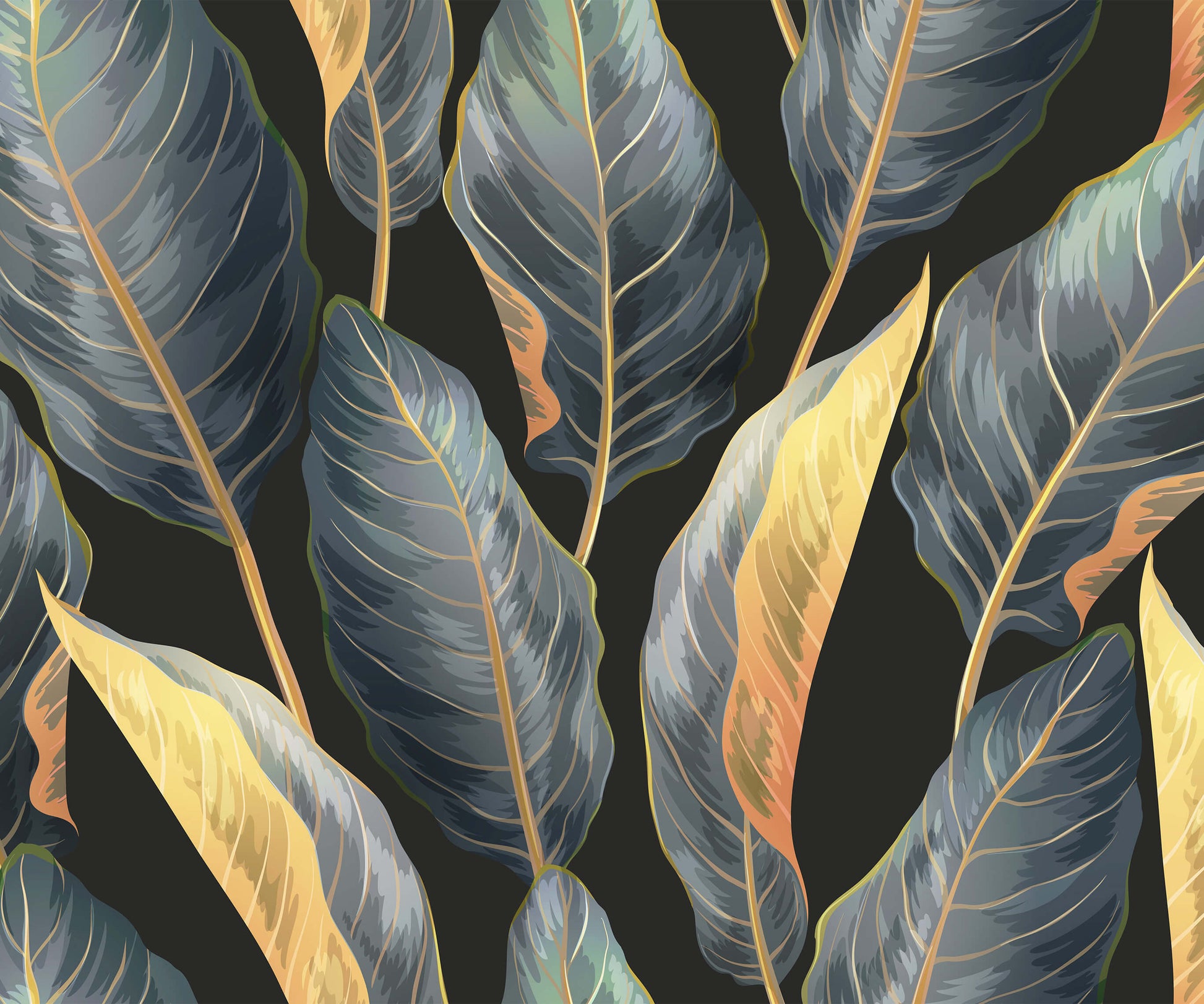 Calathea