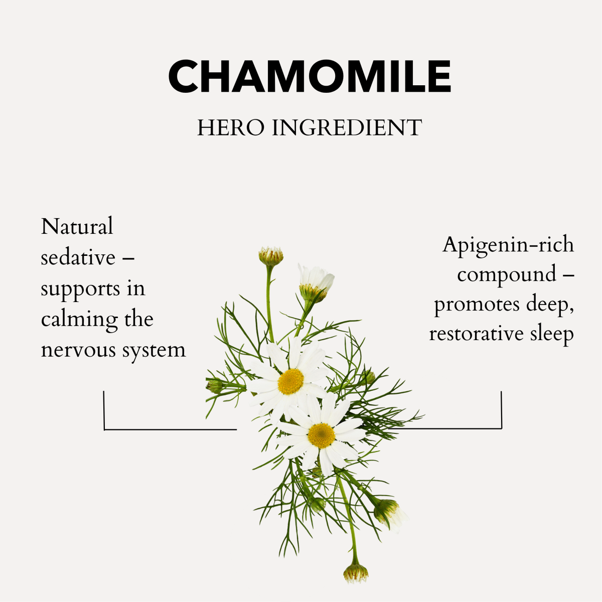 Calming Bath and Shower Oil with Roman Chamomile for Sleep and Stress Relief