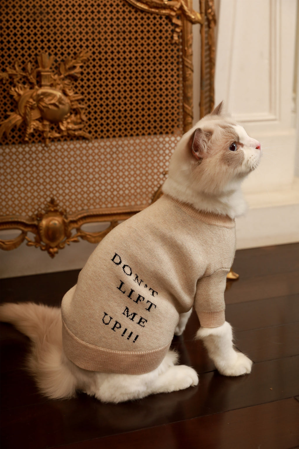 Apricot DLMU Jumper