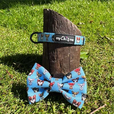Blue Chihuahua Print Bow Tie for Dogs