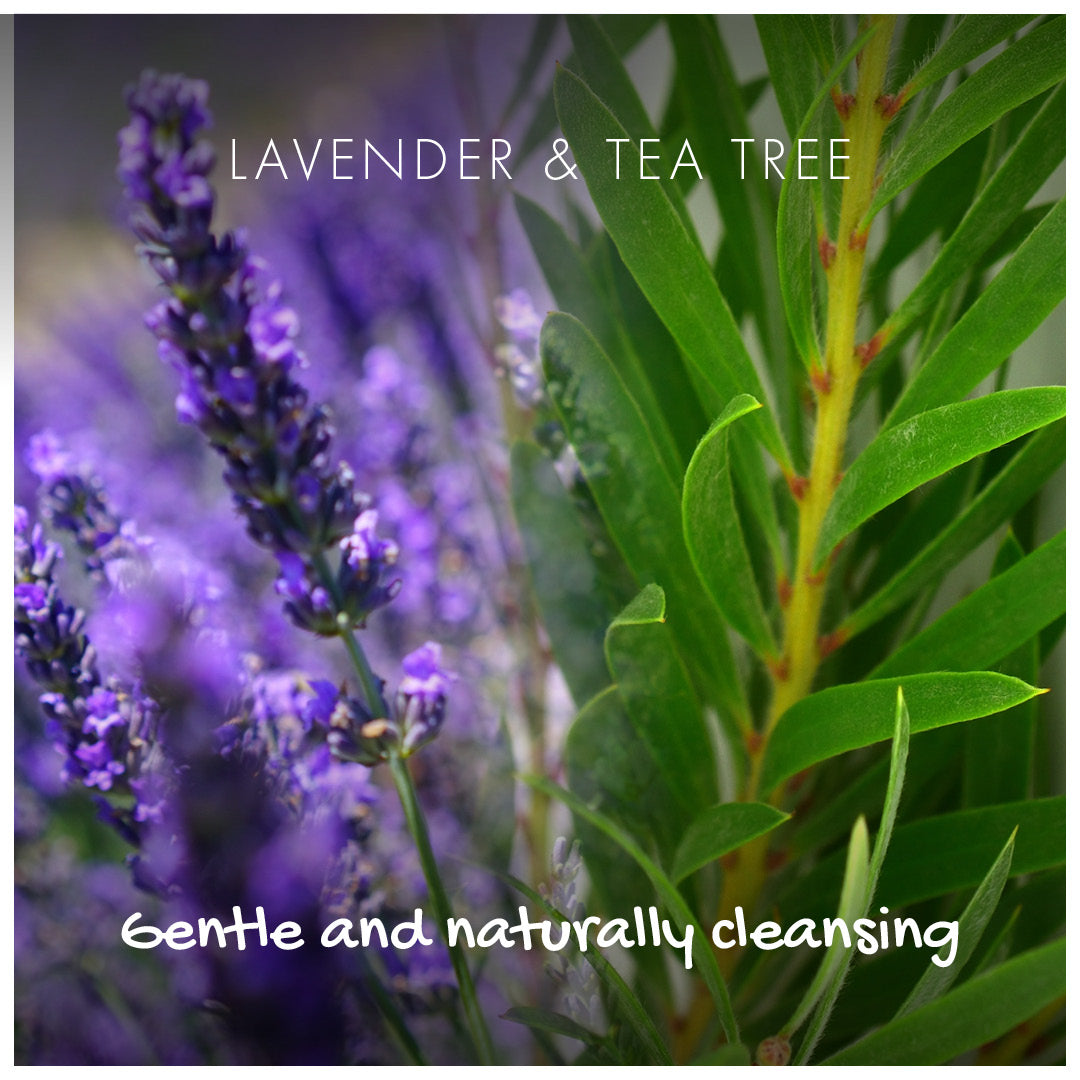 Lavender and Tea Tree Conditioner Bar