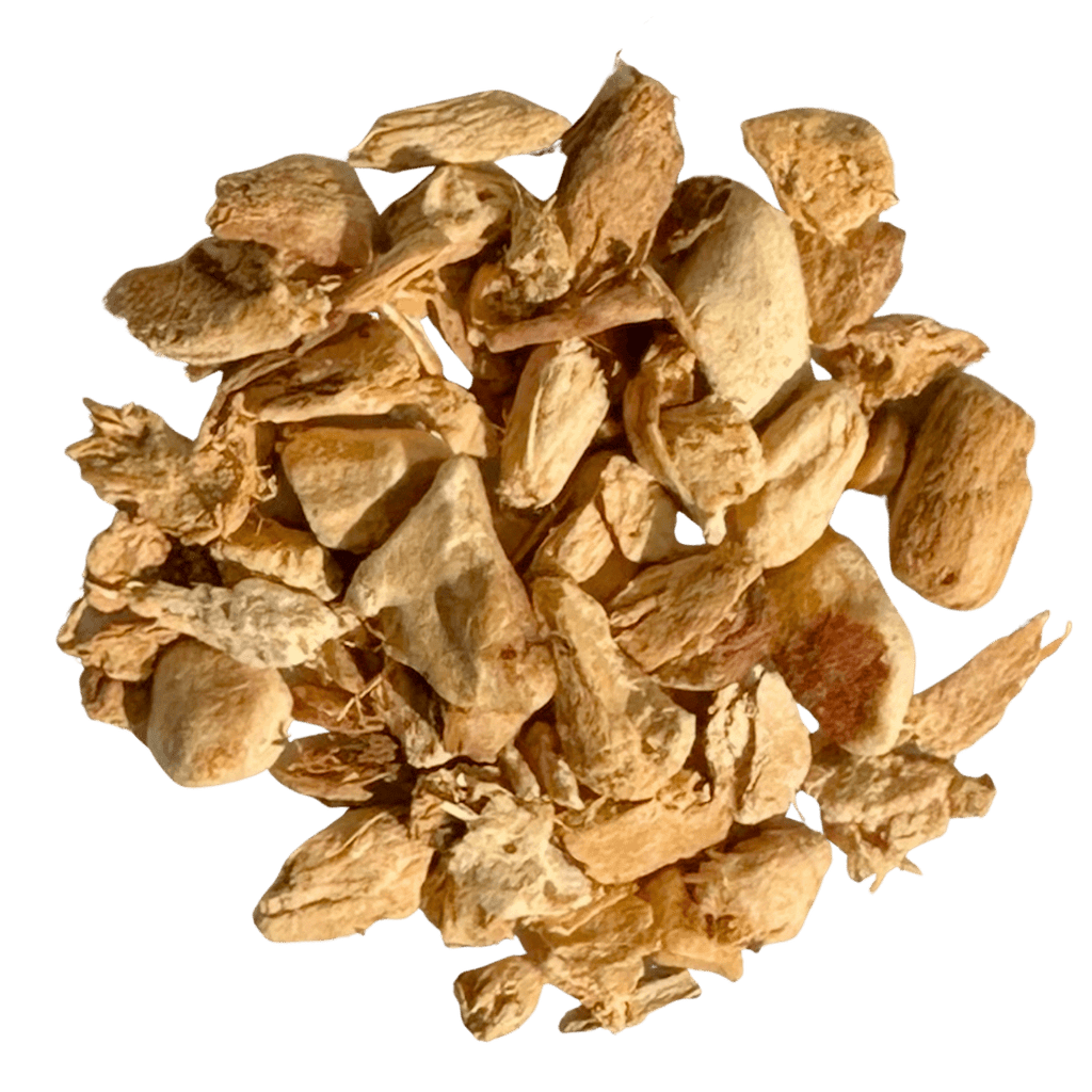 Thai Ginger Root