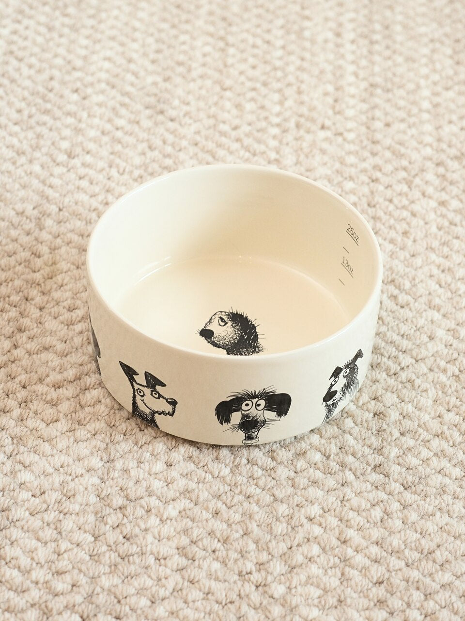 Derpy Bowl for Dogs