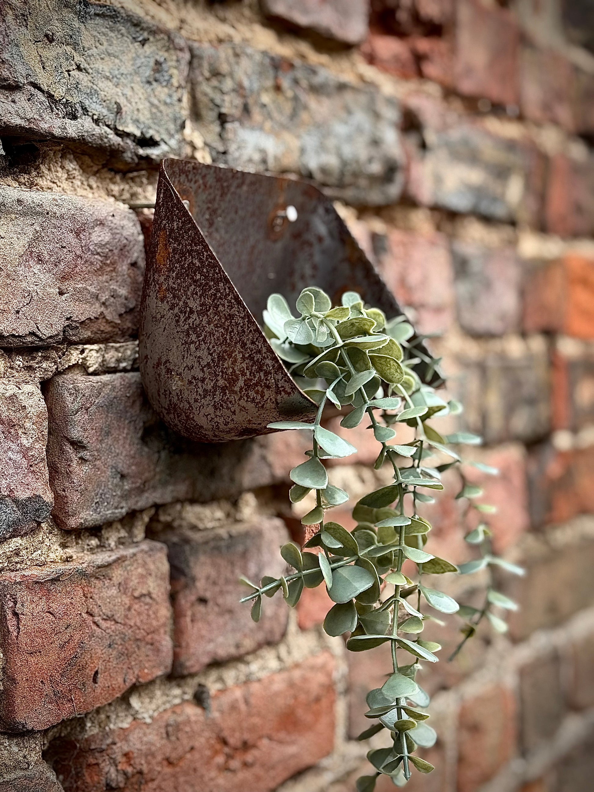 Vintage Rusty Metal Wall Mounted Planter / Herb Planter / Plant Pot / Key Holder