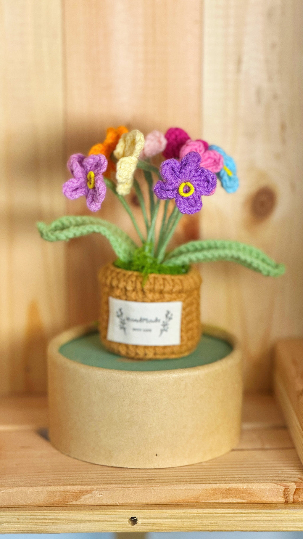 Flower Pots Collection – Everlasting Blooms