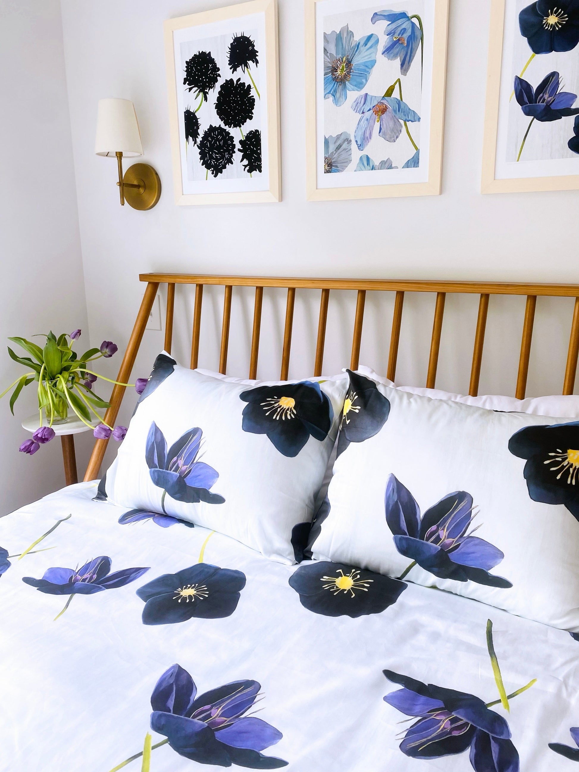 Black Hellebore on Snow Art Print