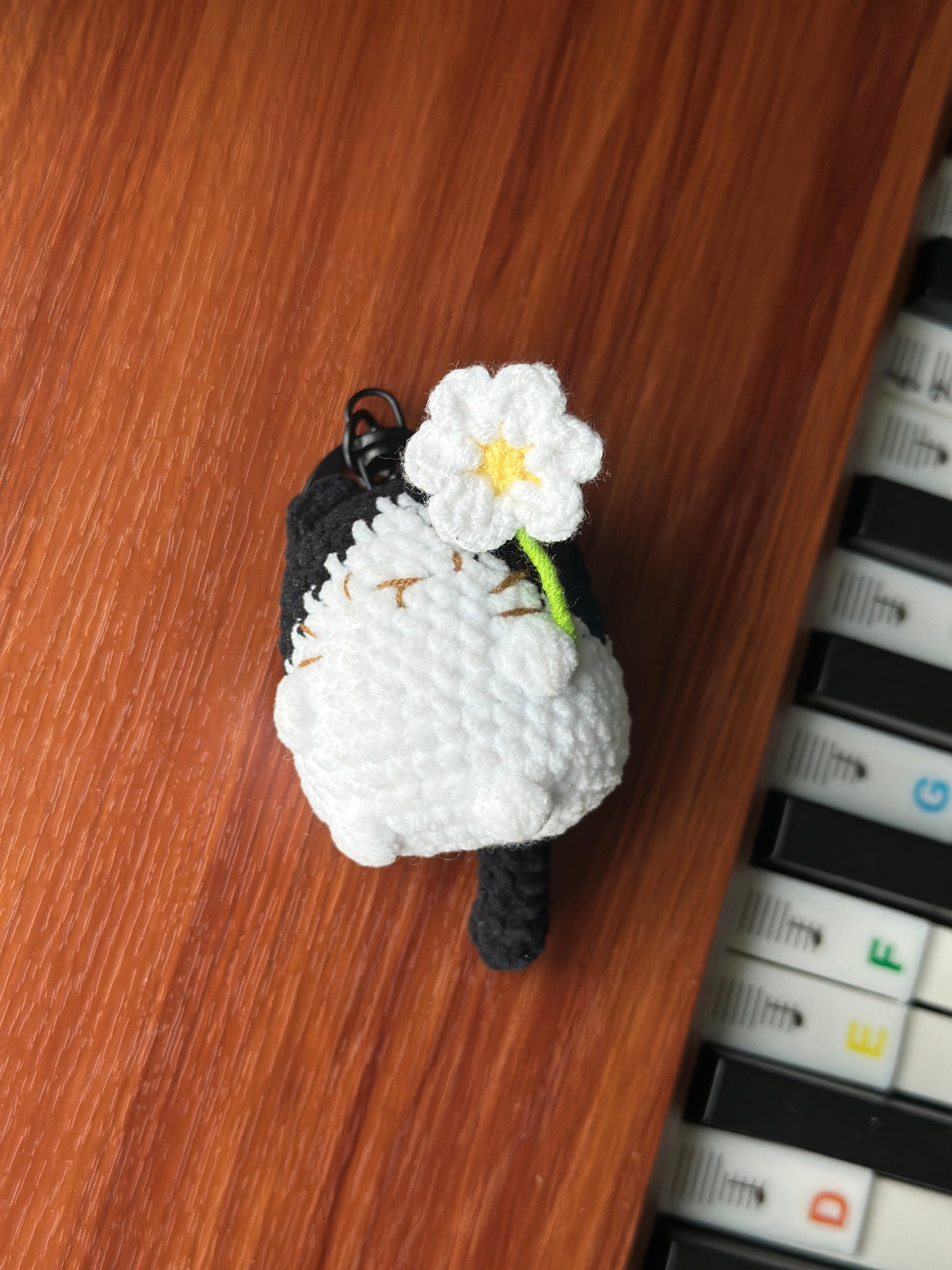 Little Square Cute Kitten Collection