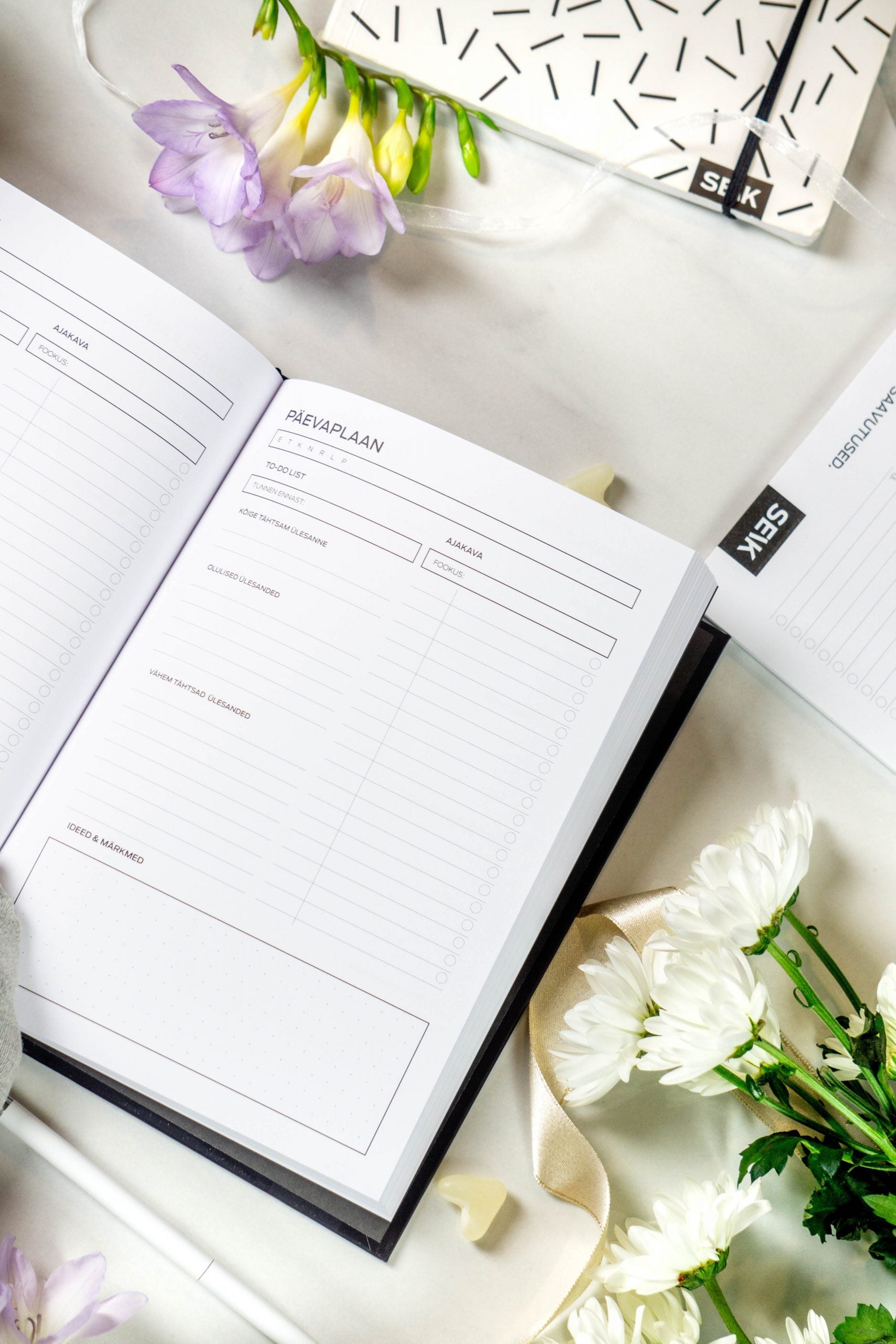 a functional productivity planner open on a desk with a pen, showing weekly planning pages