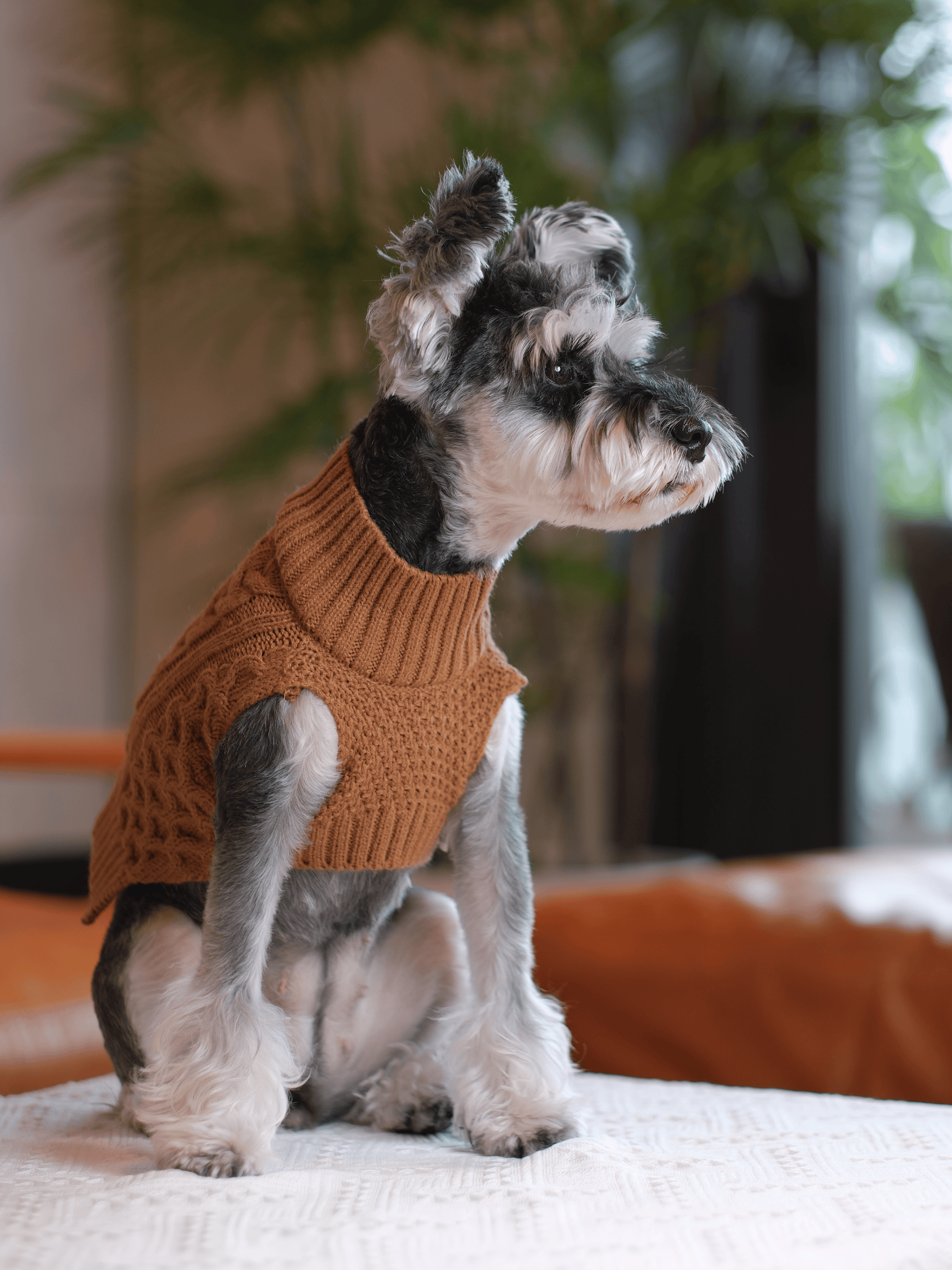 Pet Sweater Vest in Toffee Orange
