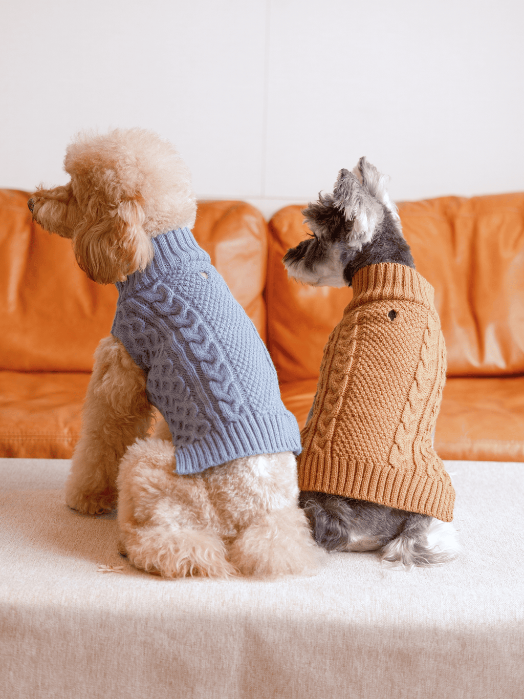 Pet Sweater Vest in Toffee Orange