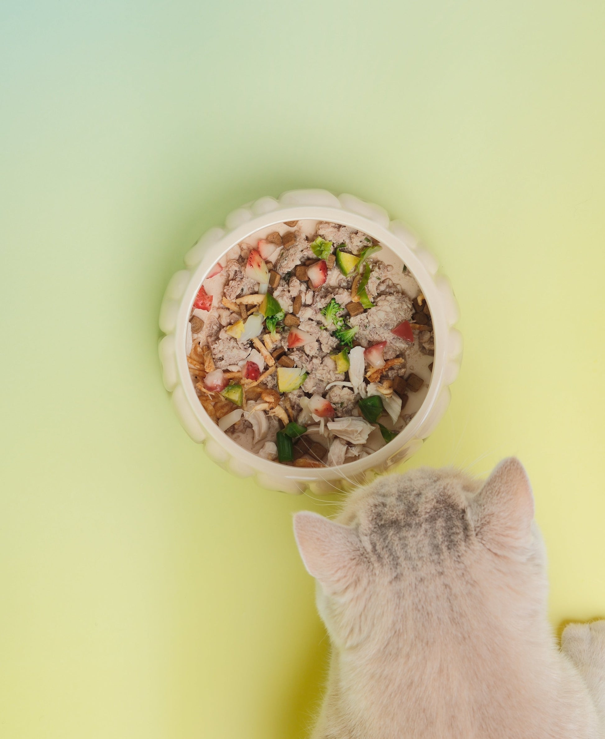 Puff Pet Bowl Gradient Olive