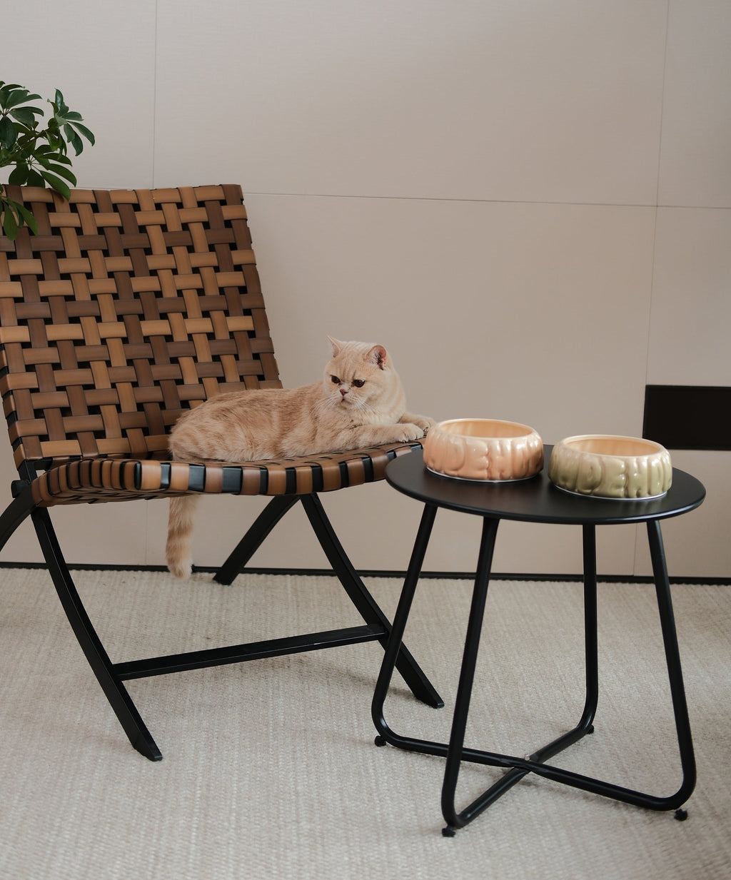 Gradient Caramel Pet Bowl for Dogs and Cats