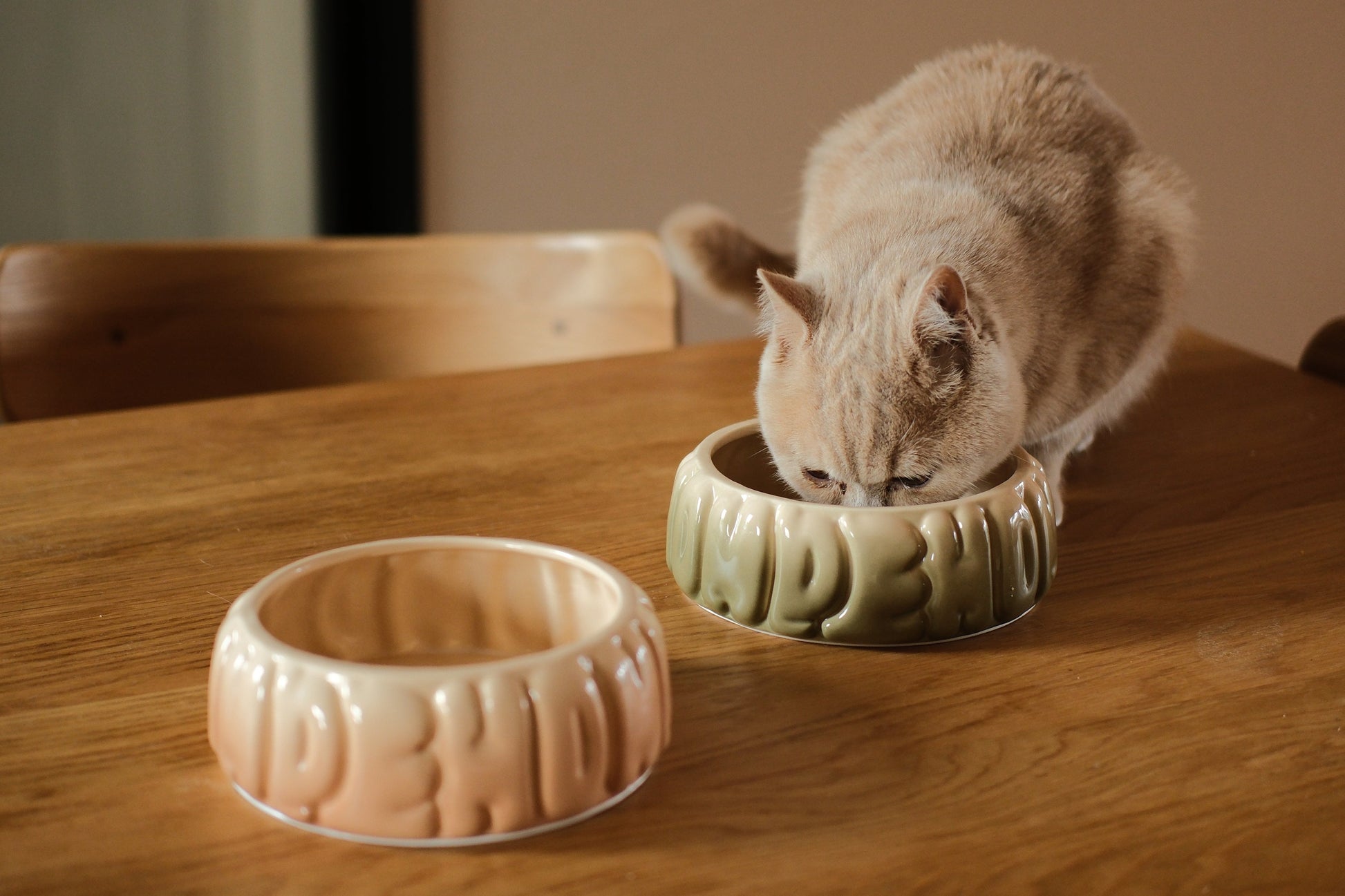 Gradient Caramel Pet Bowl for Dogs and Cats