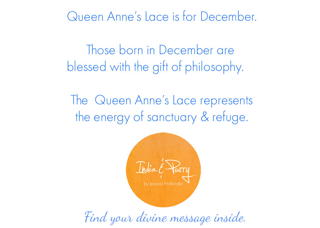 December Queen Anne's Lace Mini Art Print