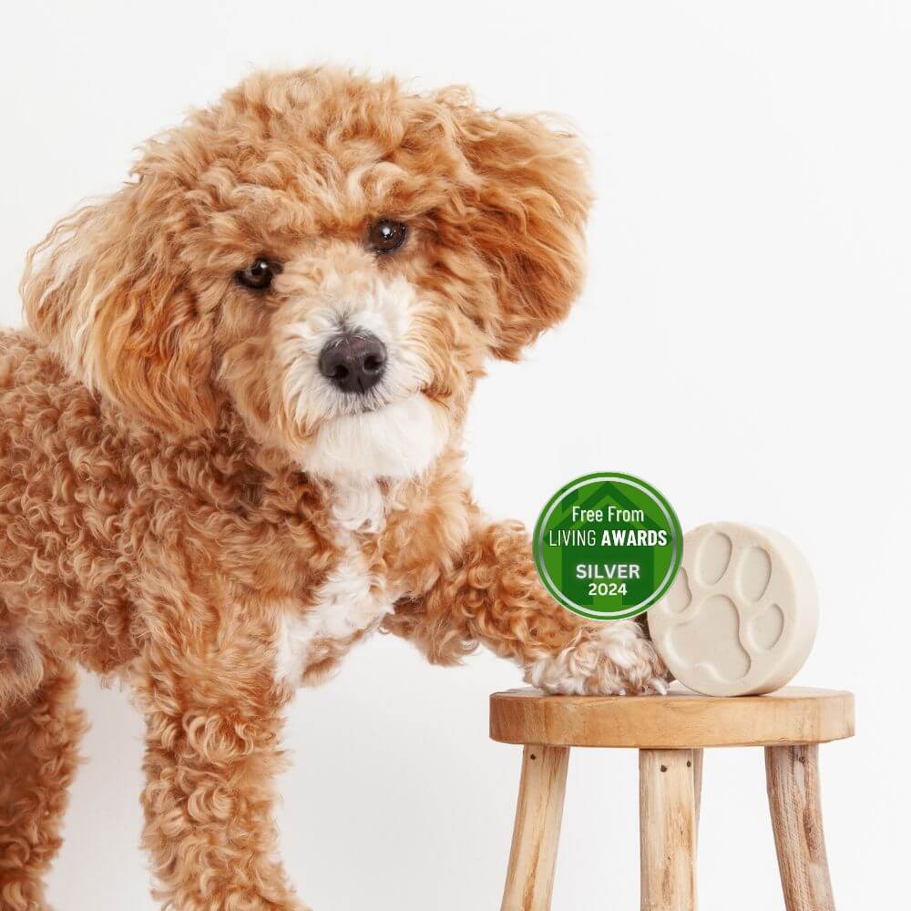 Fragrance Free Dog Shampoo Bar for Sensitive Skin