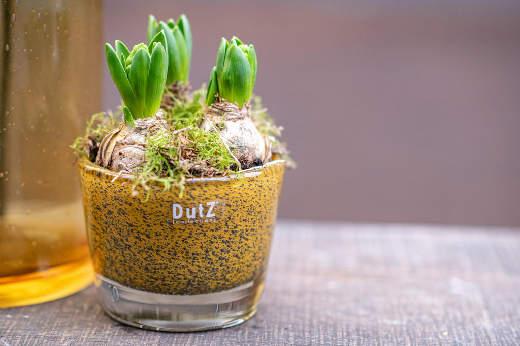 CONIC Vase - Thick with Bubbles by DutZ