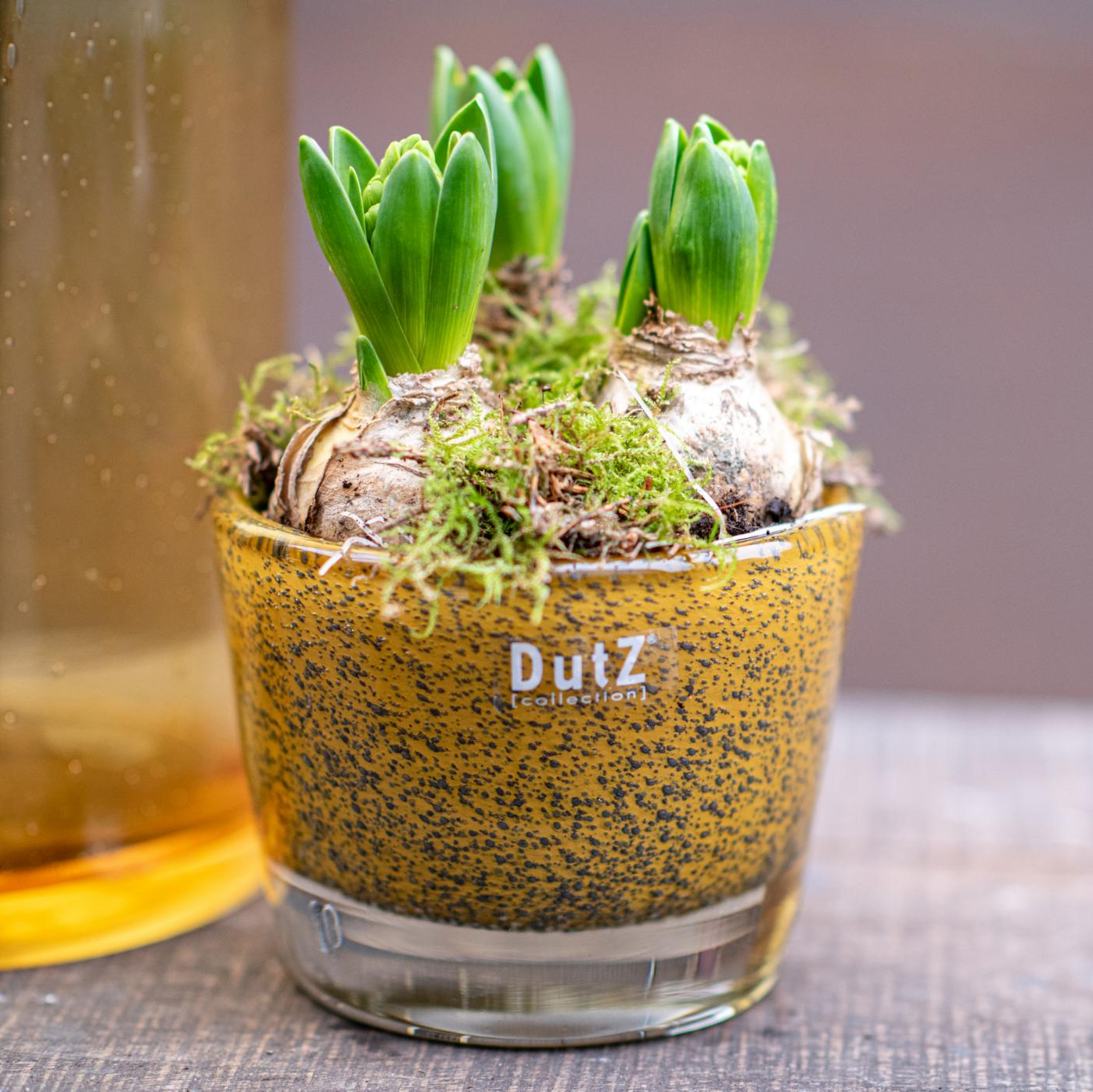 CONIC Vase - Thick with Bubbles by DutZ