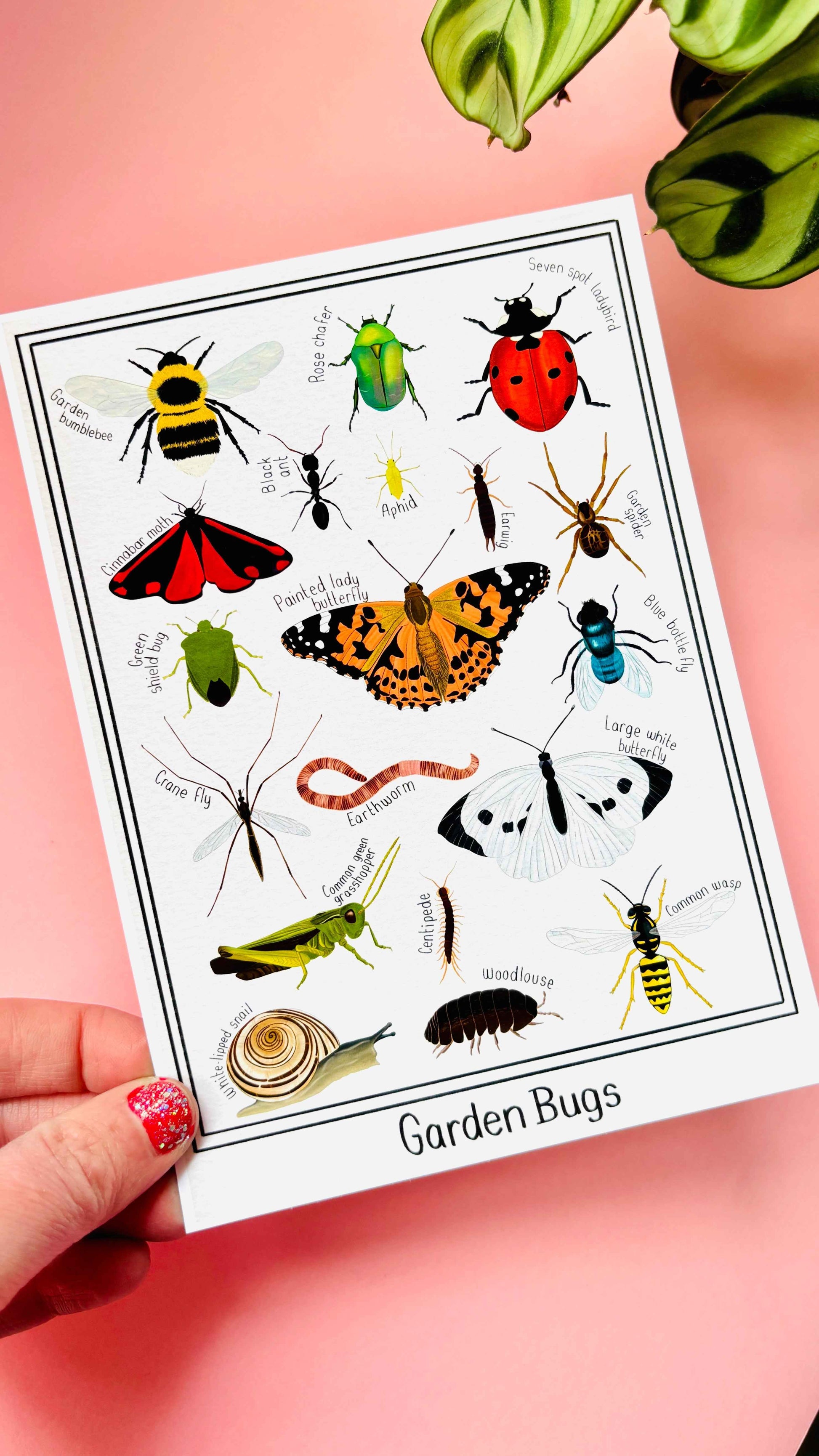 Garden Bug Wall Art Print: Nature Inspired Educational Prints