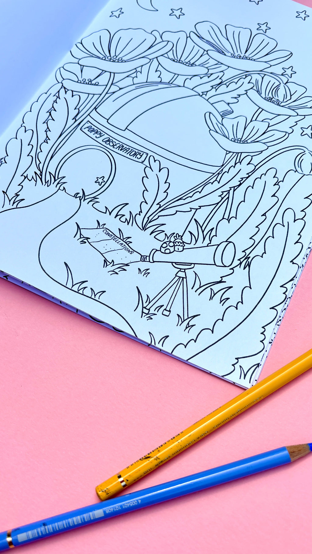 Fairy Colouring Book- Tiny Homes a Fantasy Colouring Book for Adults and Kids
