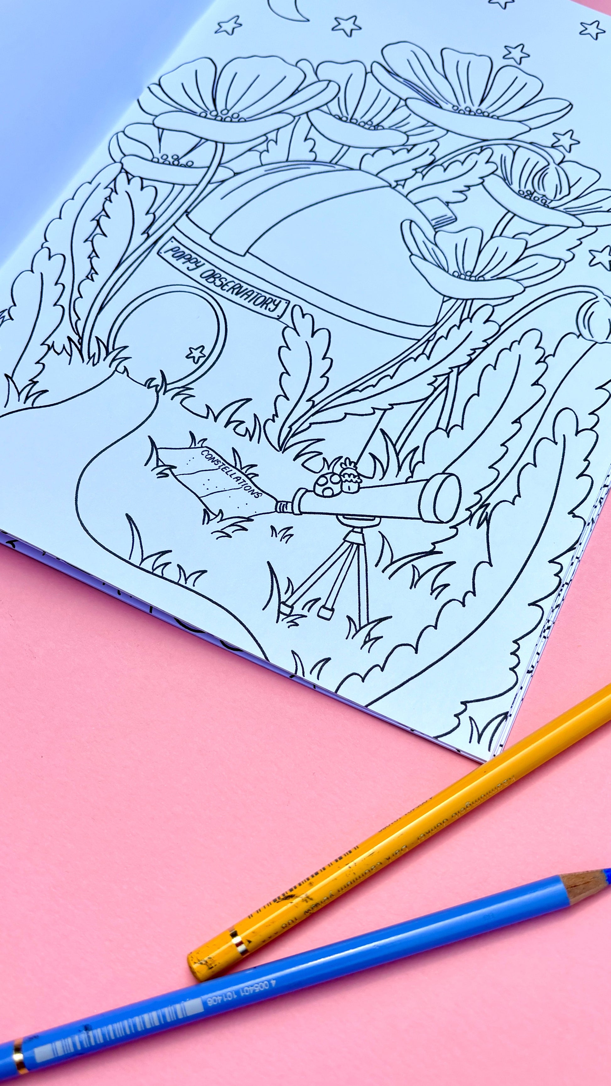 Fairy Colouring Book- Tiny Homes a Fantasy Colouring Book for Adults and Kids