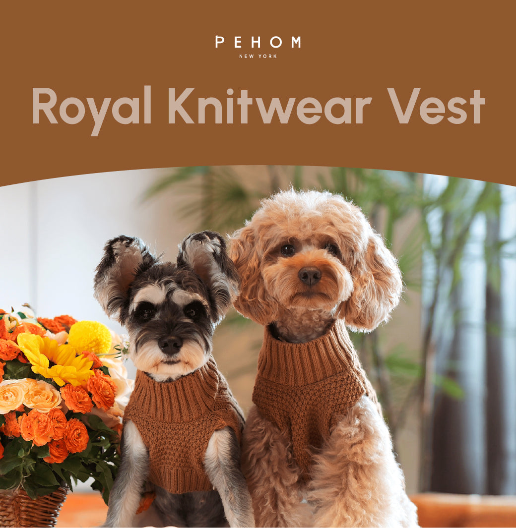 Pet Sweater Vest in Toffee Orange