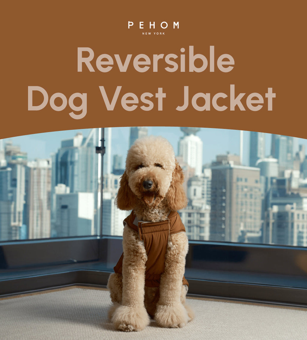 Reversible Dog Vest Jacket in Orange and Grey