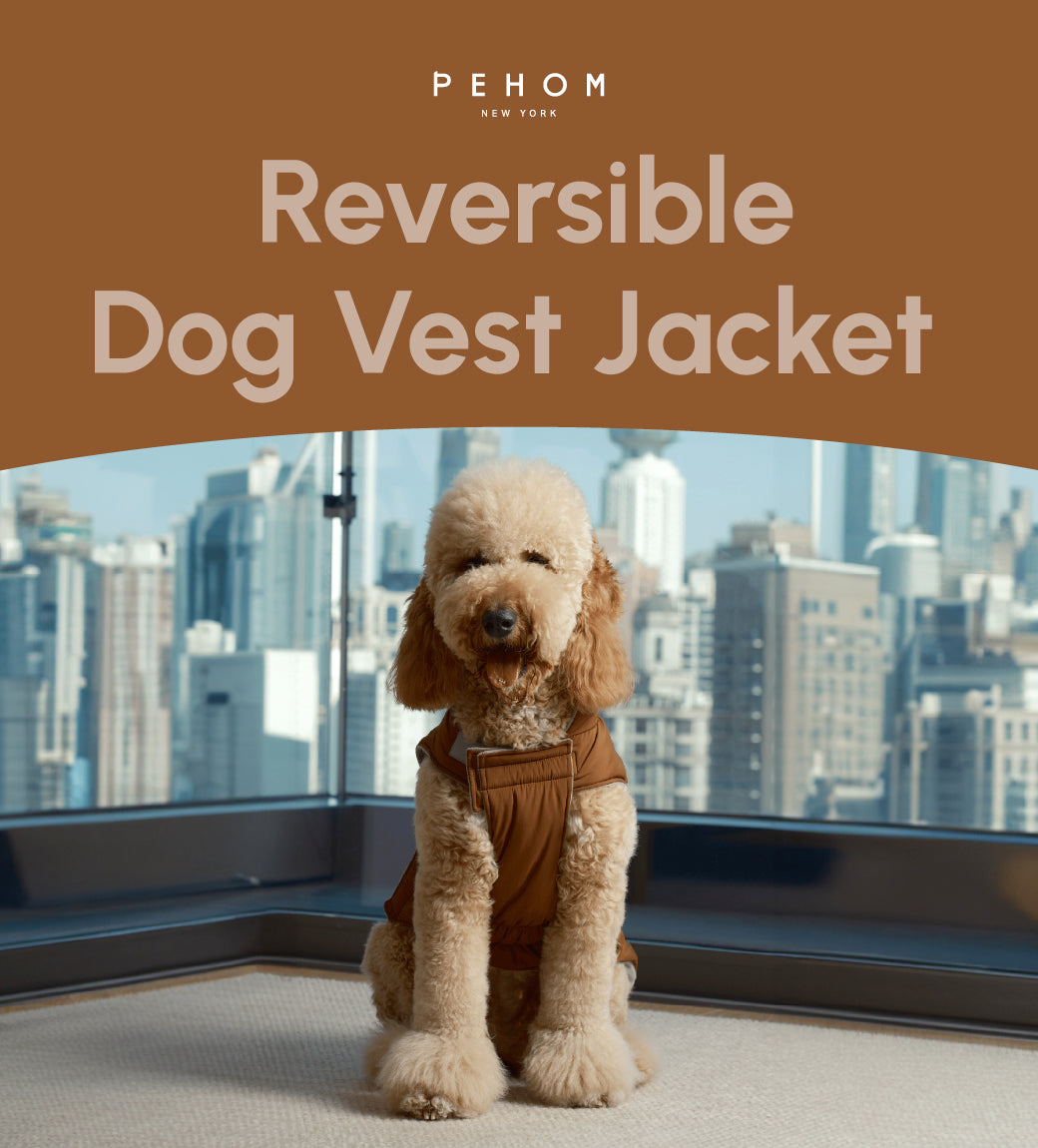 Reversible Dog Vest Jacket in Orange and Grey