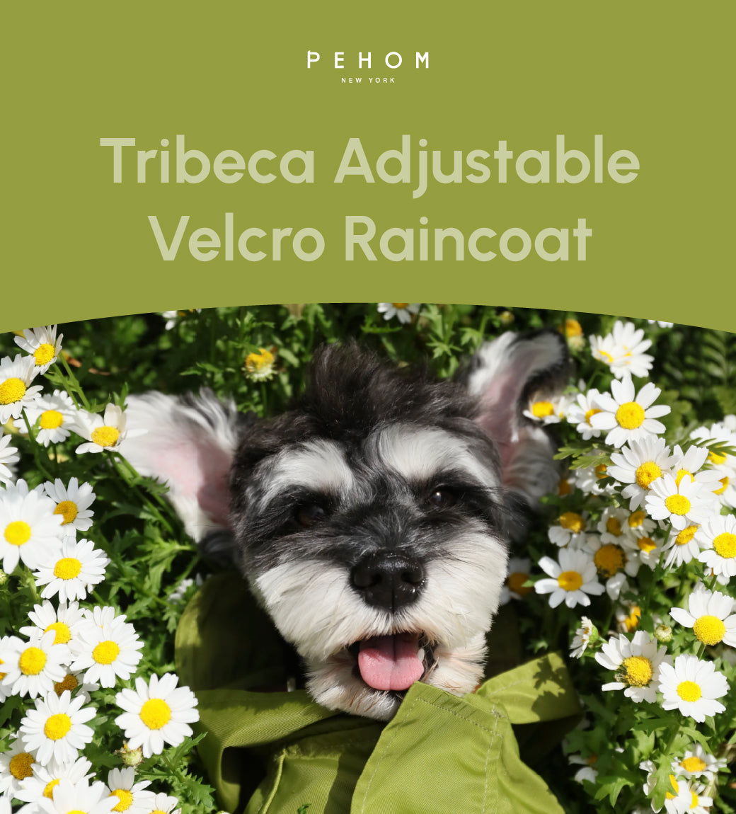 Tribeca Adjustable Velcro Raincoat for Dogs in Olive