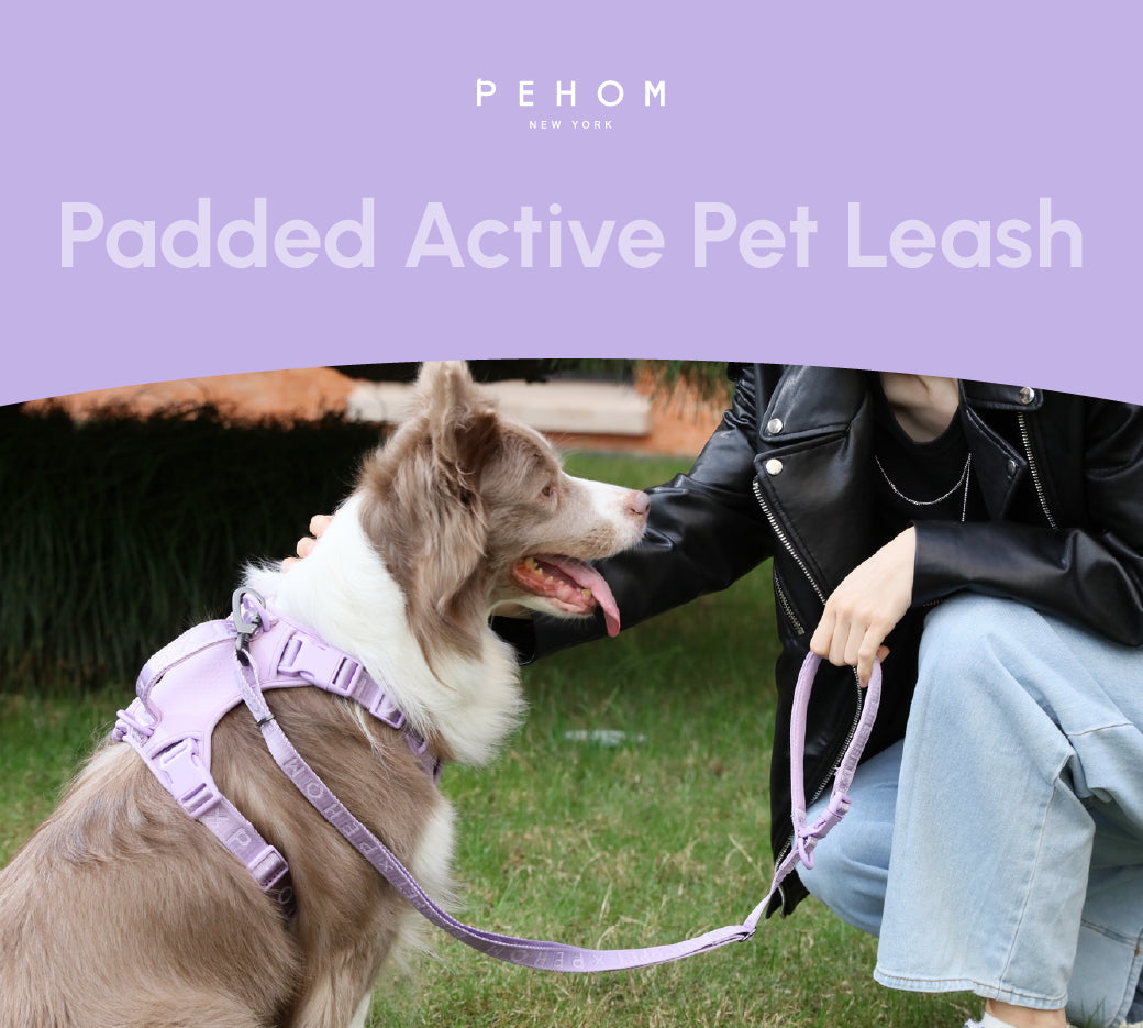 Padded Active Pet Leash in Mint Purple