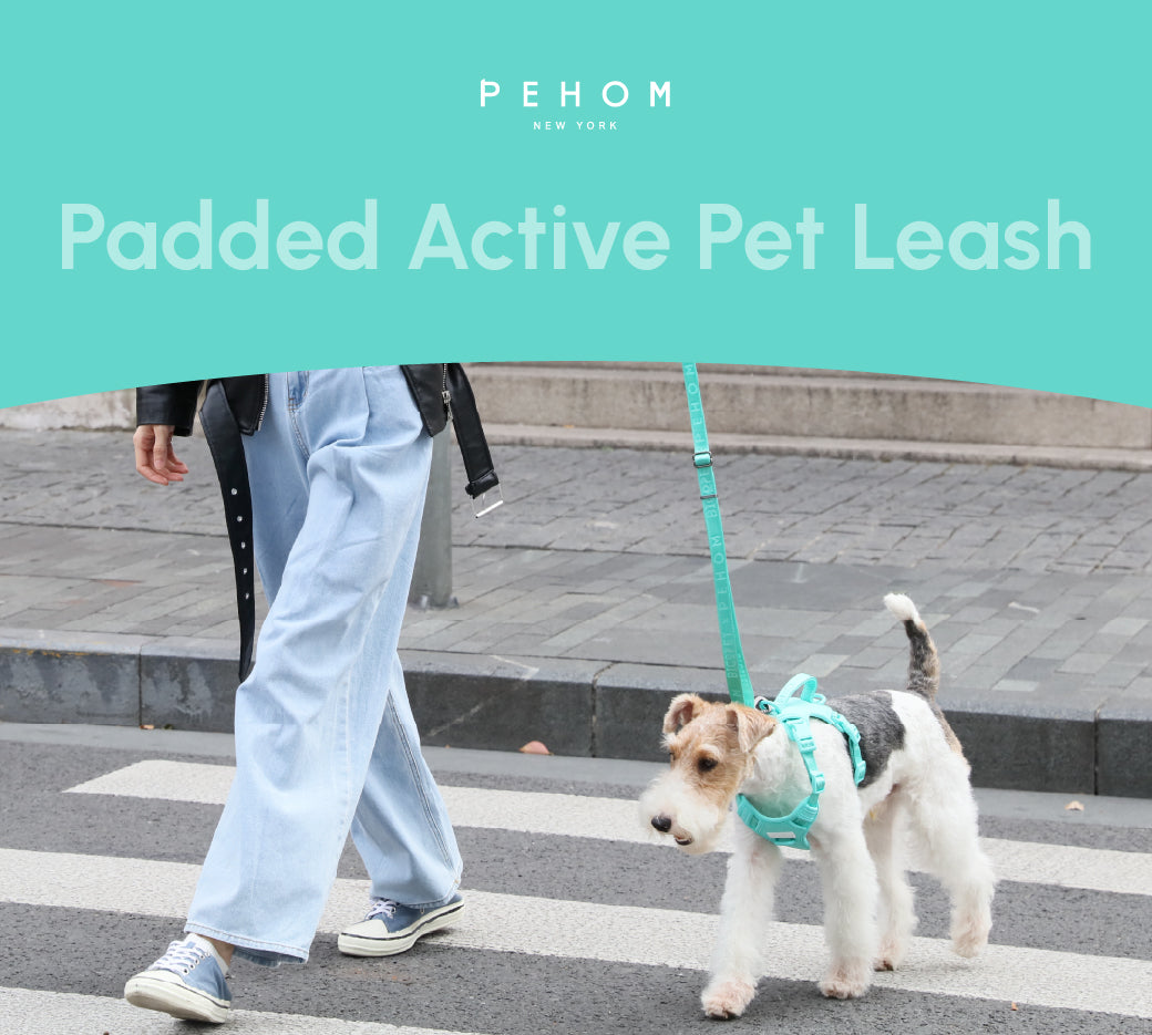 Padded Active Pet Leash in Mint Green