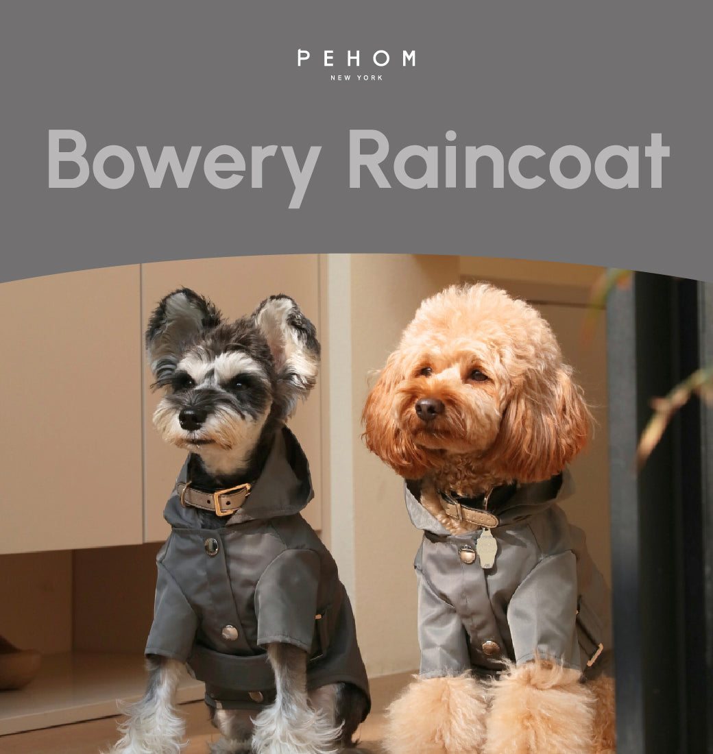 Bowery Raincoat in Gray