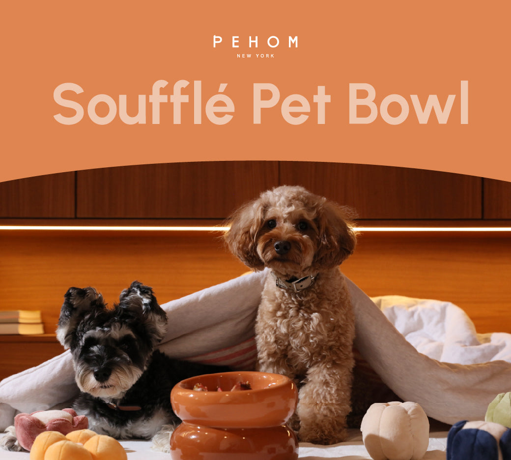 Soufflé Pet Bowl Amber Orange