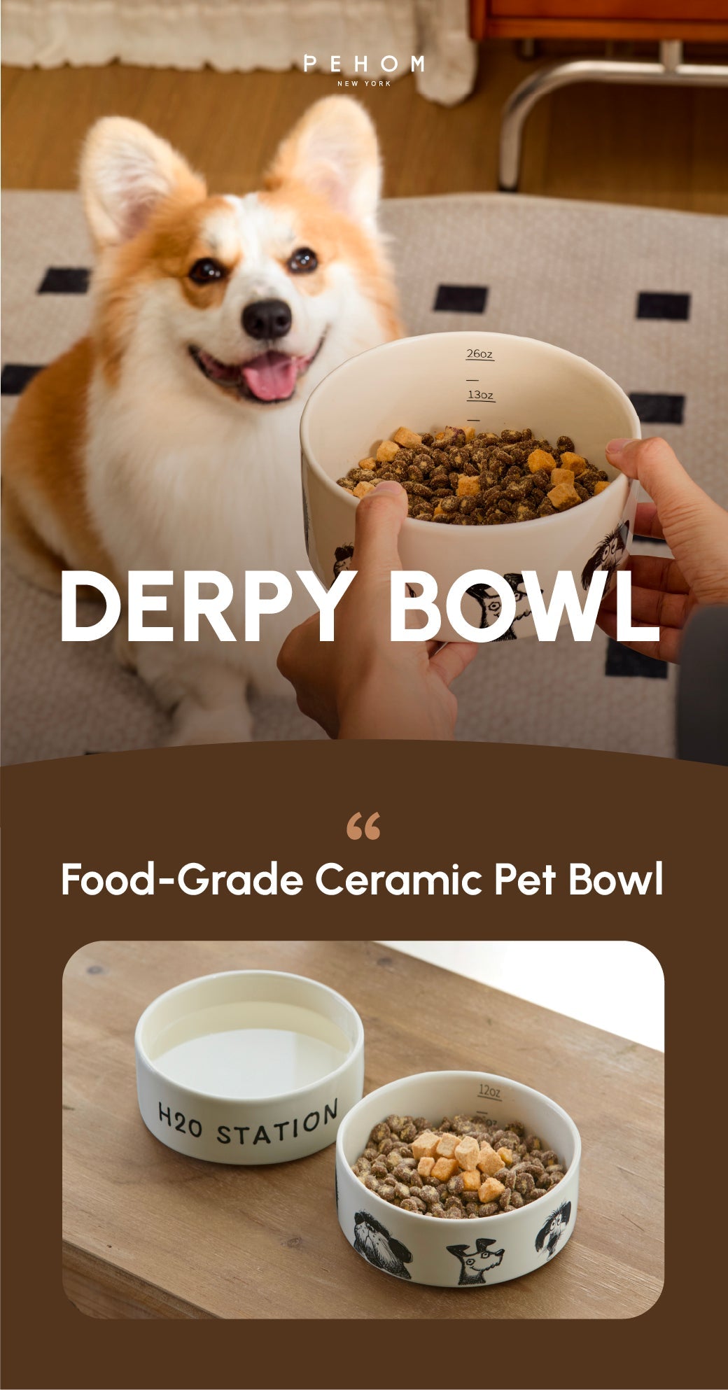 Derpy Bowl for Dogs