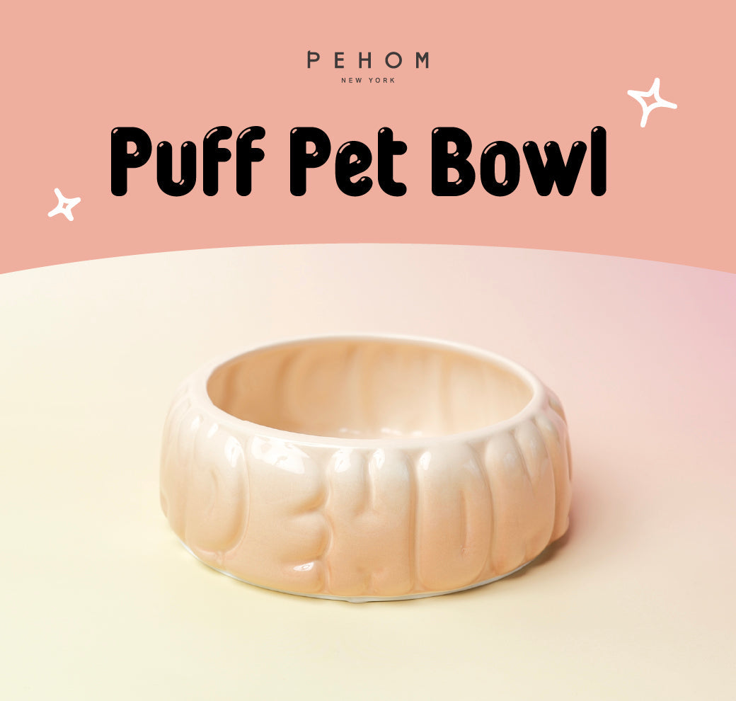Gradient Caramel Pet Bowl for Dogs and Cats