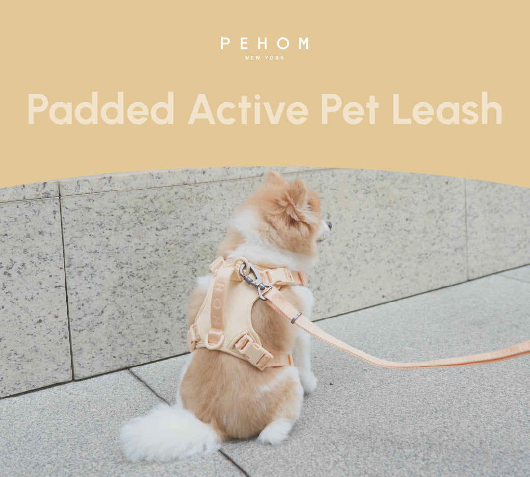 Padded Active Pet Leash in Apricot