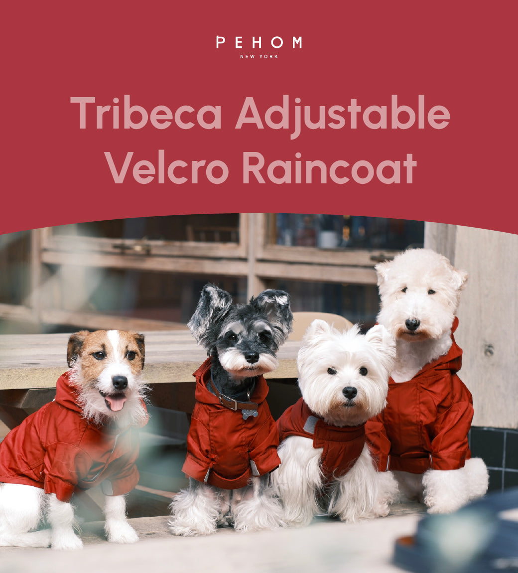 Adjustable Velcro Raincoat for Dogs in Burgundy