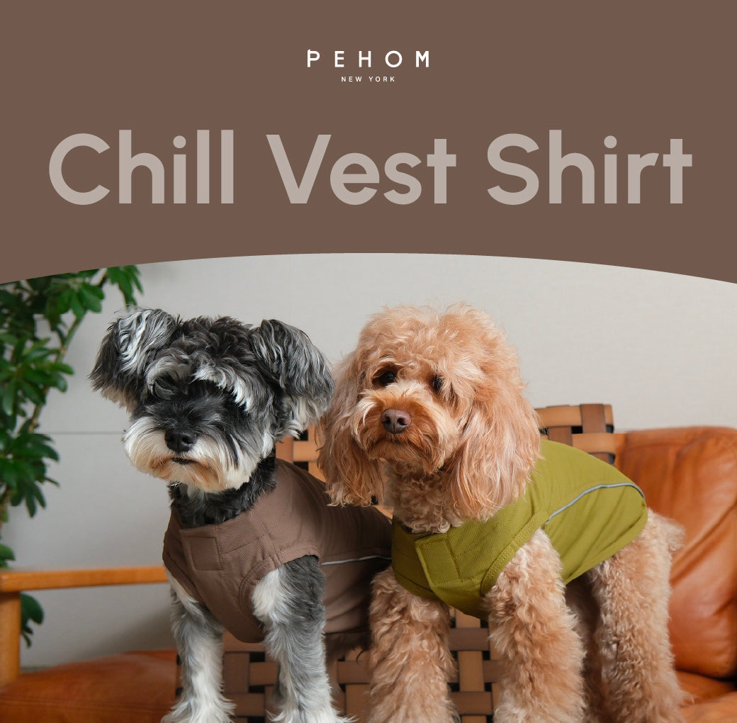 Chill Vest Shirt in Blue for Dogs and Cats