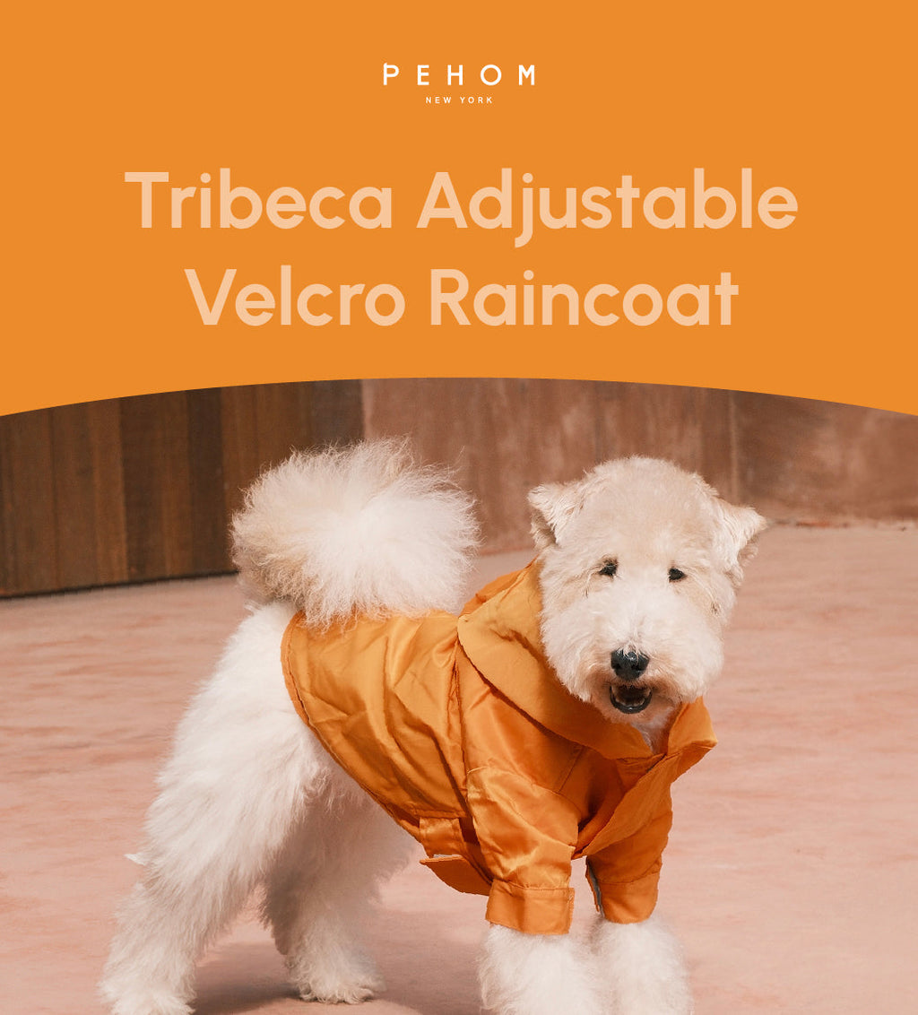 Tribeca Adjustable Velcro Raincoat for Dogs in Egg Yolk