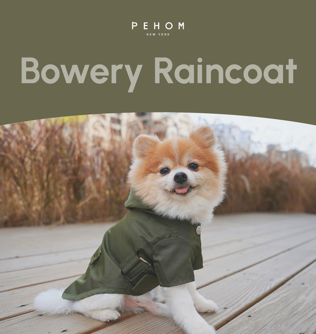 Bowery Raincoat in Green