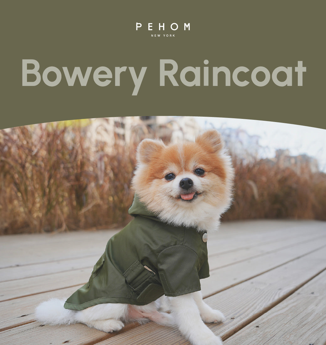 Bowery Raincoat in Green