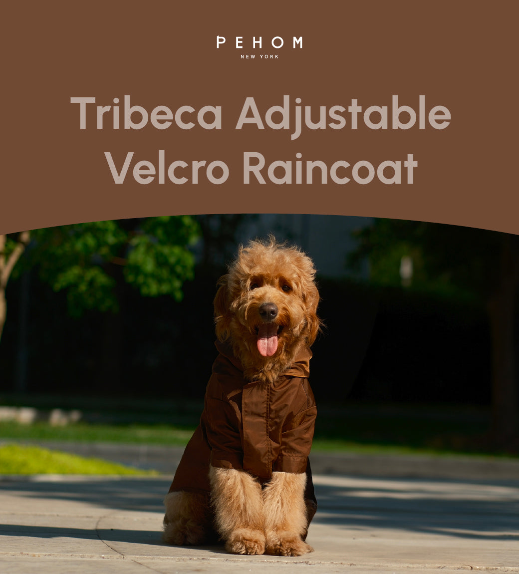 Tribeca Adjustable Velcro Raincoat in Chocolate