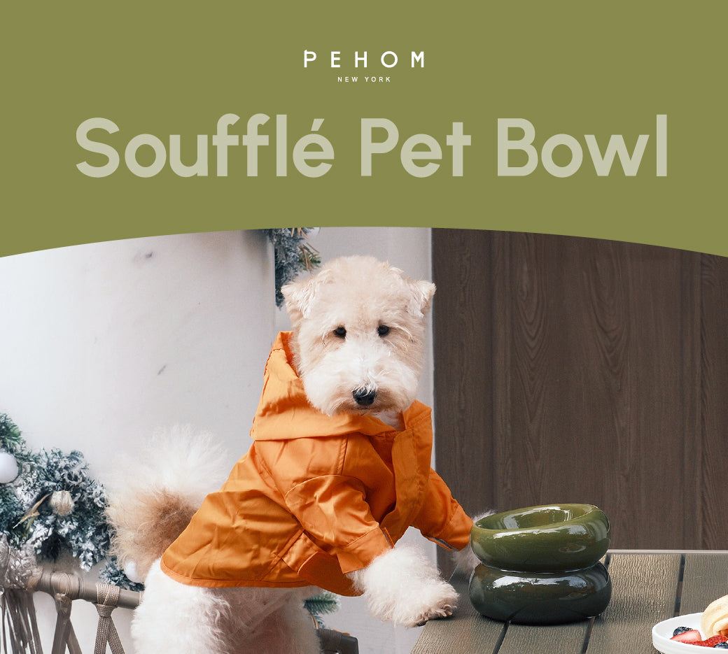 Soufflé Pet Bowl Avocado Green