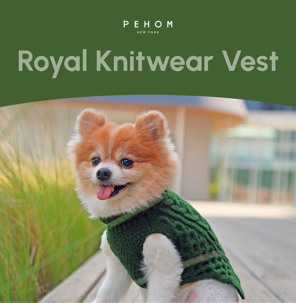 Green Pet Sweater Vest for Dogs and Cats