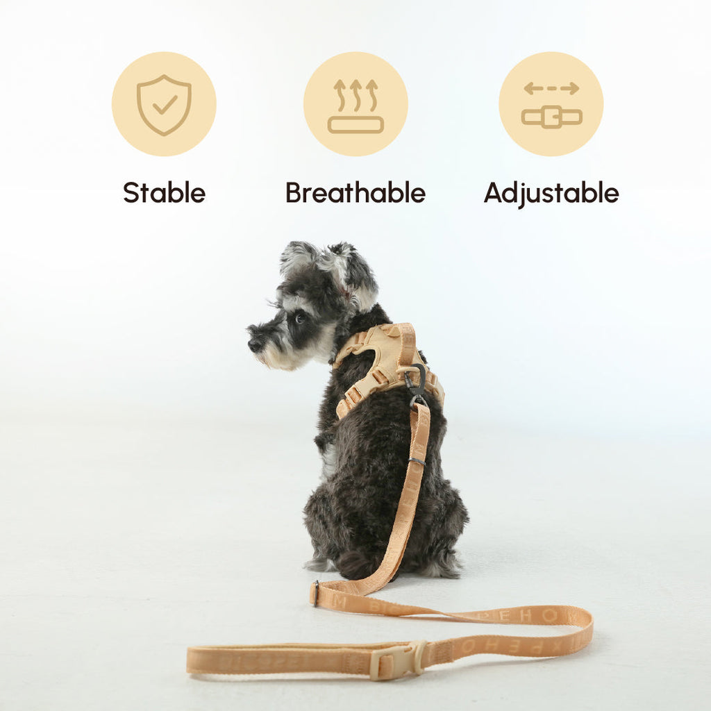 Padded Active Pet Leash in Apricot