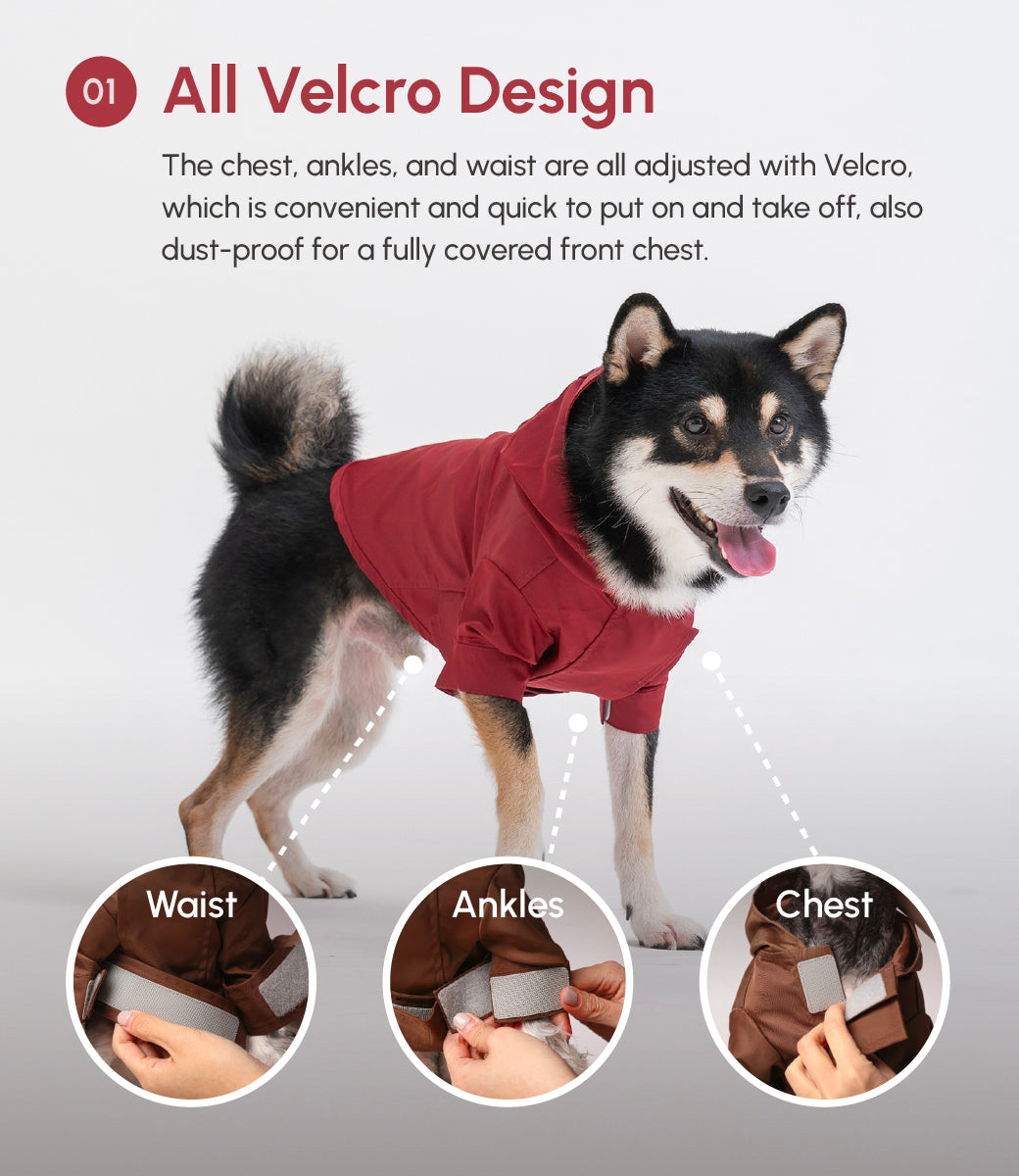 Adjustable Velcro Raincoat for Dogs in Burgundy