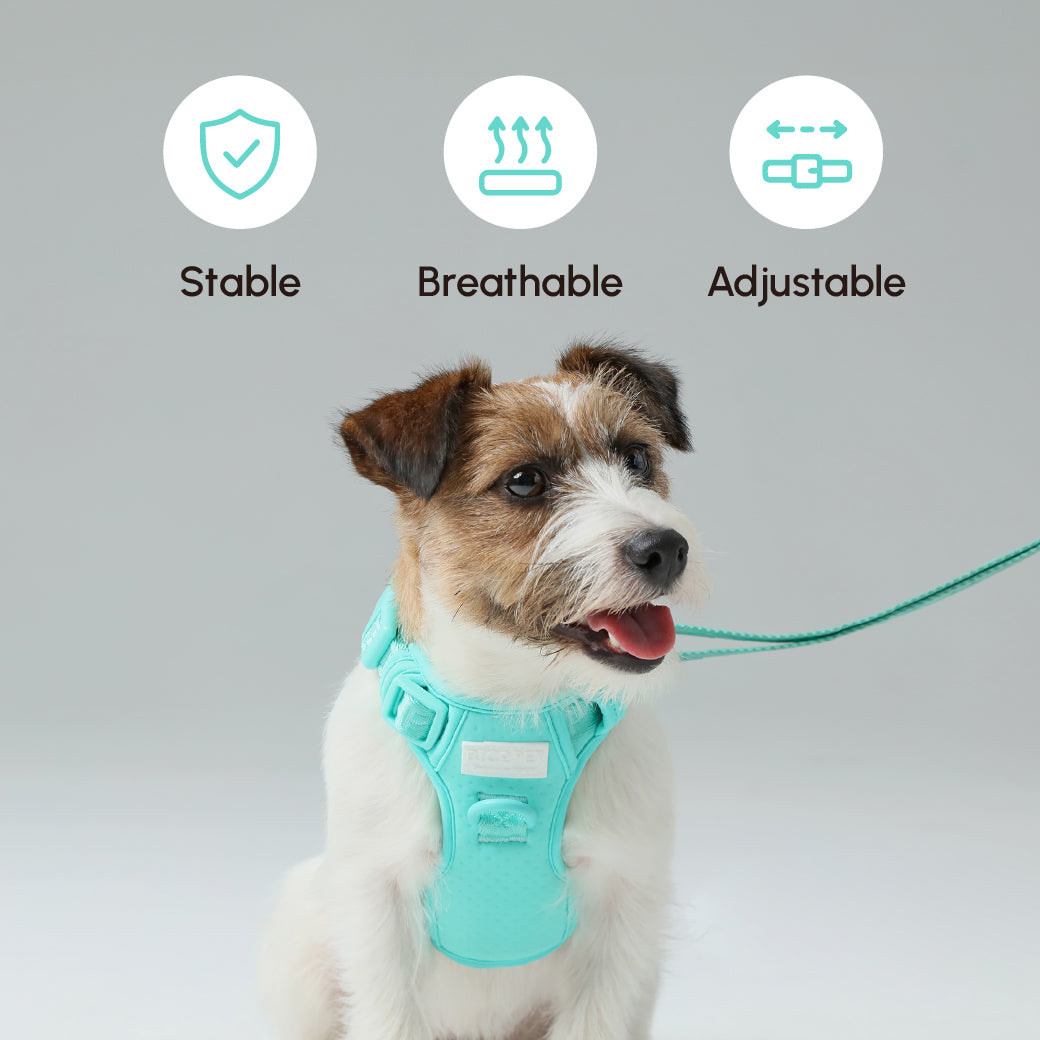Padded Active Pet Leash in Mint Green