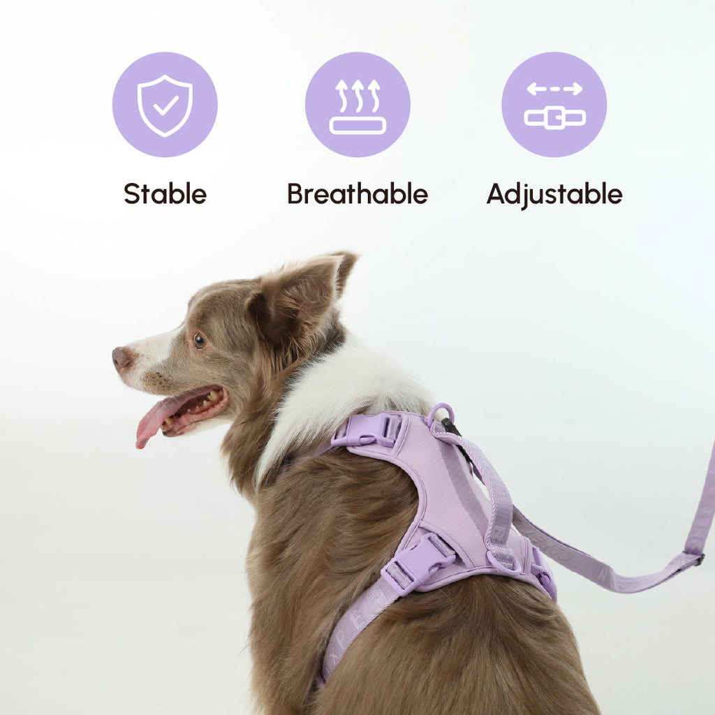 Padded Active Pet Leash in Mint Purple