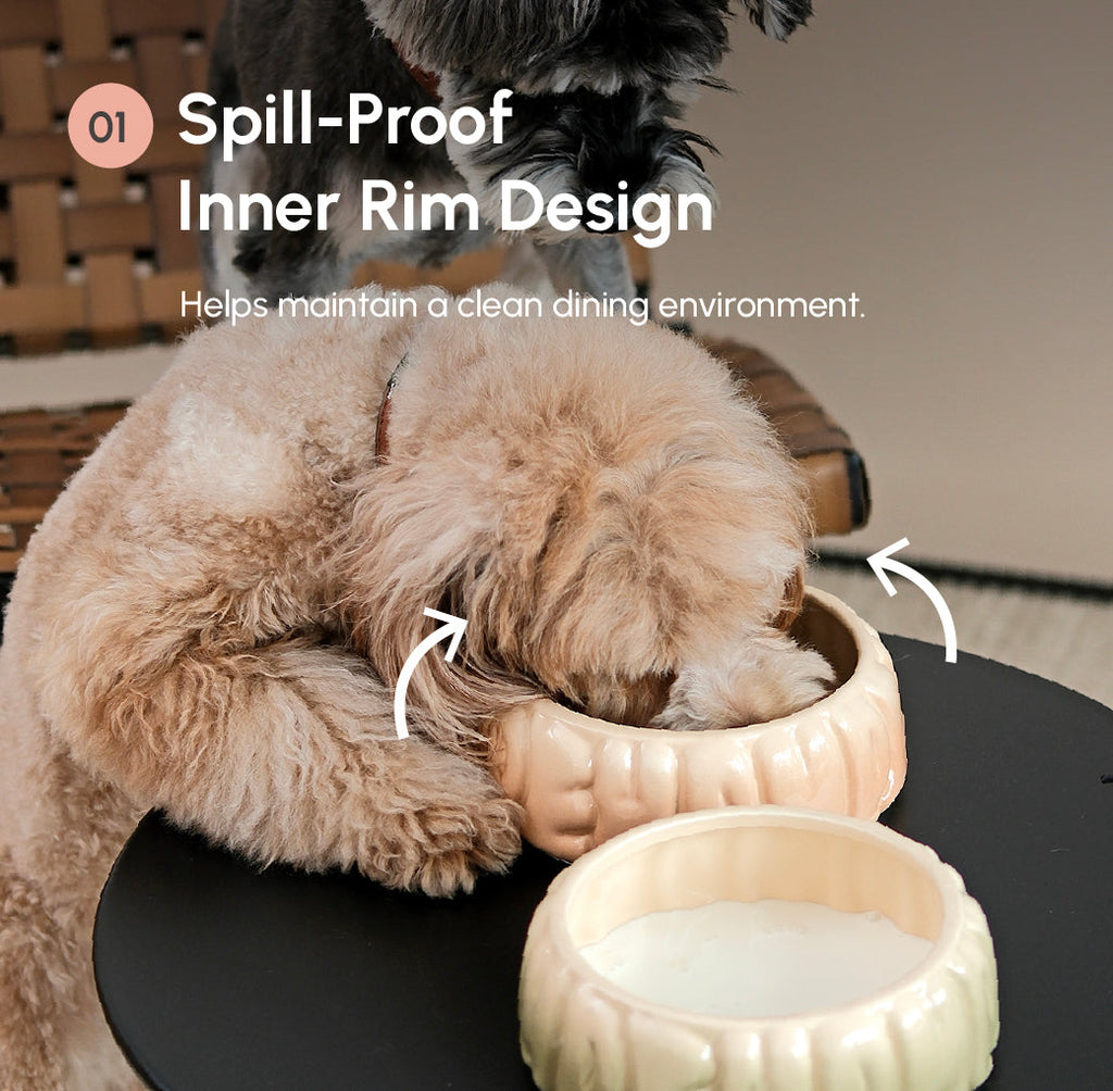 Gradient Caramel Pet Bowl for Dogs and Cats